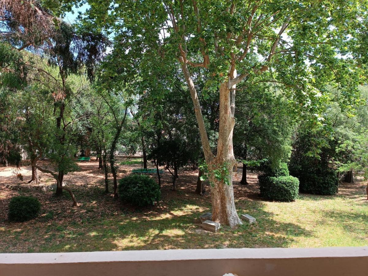Chez Isa Apartment Toulon Luaran gambar